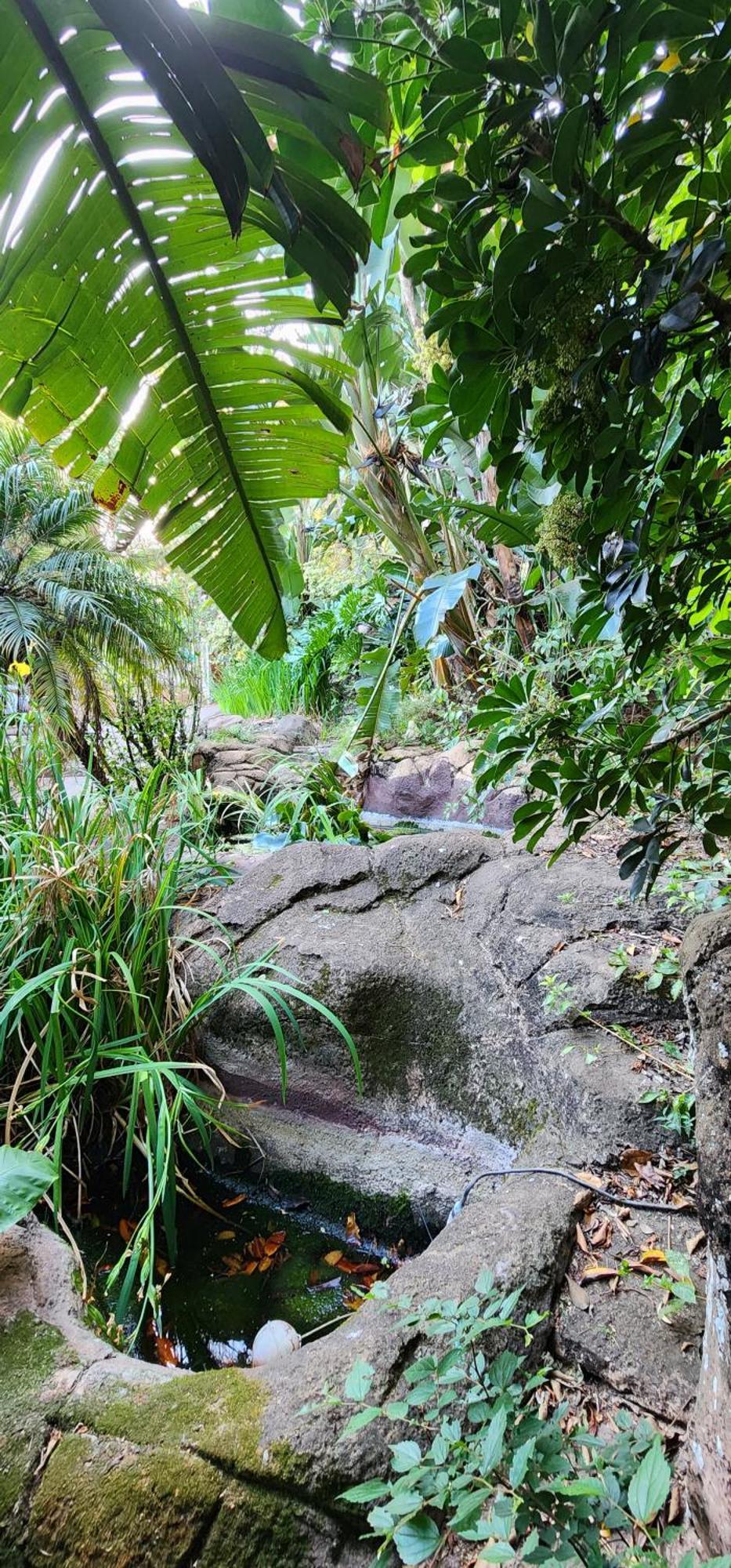 Bali At Scenic Haven Lodge In 哈特比斯普特 外观 照片