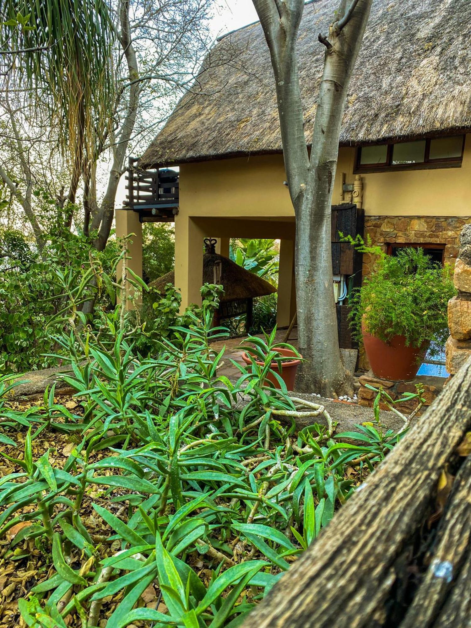 Bali At Scenic Haven Lodge In 哈特比斯普特 外观 照片